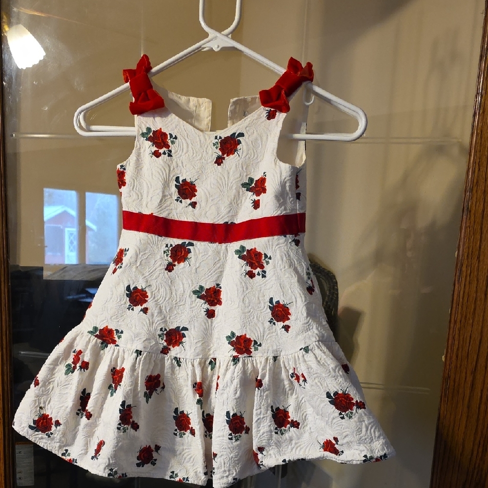 Janie and Jack White Dress with Red Floral Accents